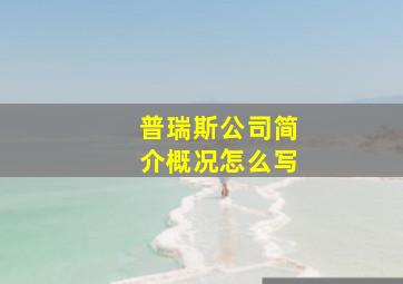 普瑞斯公司简介概况怎么写