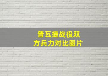 普瓦捷战役双方兵力对比图片