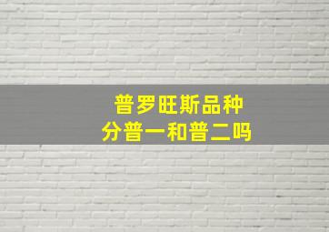 普罗旺斯品种分普一和普二吗