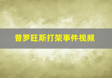 普罗旺斯打架事件视频