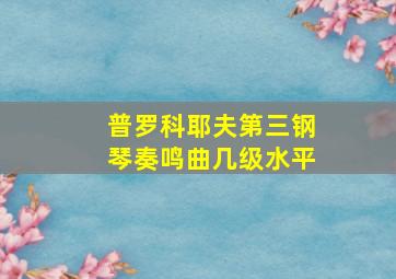 普罗科耶夫第三钢琴奏鸣曲几级水平