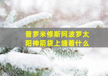 普罗米修斯阿波罗太阳神箭袋上缠着什么