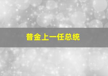 普金上一任总统