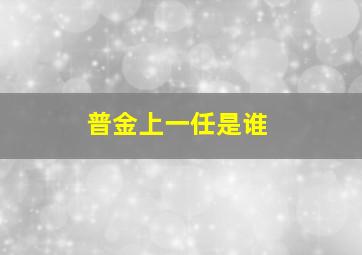 普金上一任是谁