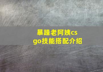 暴躁老阿姨csgo技能搭配介绍