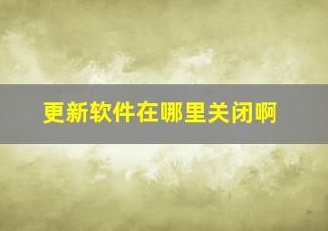 更新软件在哪里关闭啊