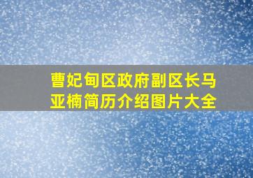 曹妃甸区政府副区长马亚楠简历介绍图片大全