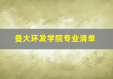 曼大环发学院专业清单