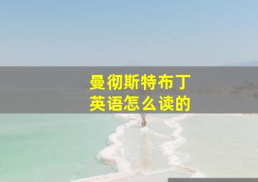 曼彻斯特布丁英语怎么读的