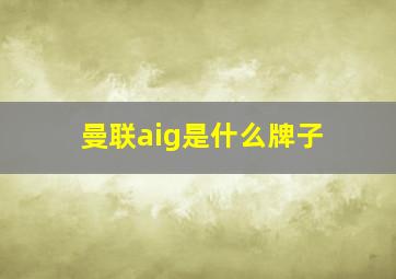 曼联aig是什么牌子