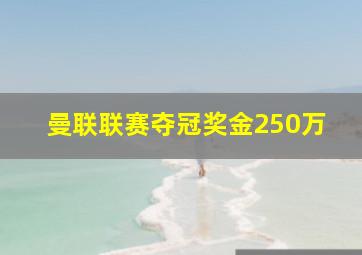 曼联联赛夺冠奖金250万