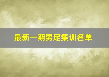 最新一期男足集训名单