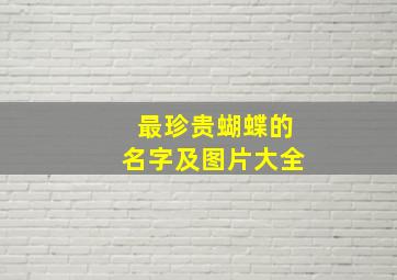 最珍贵蝴蝶的名字及图片大全