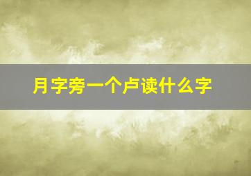 月字旁一个卢读什么字