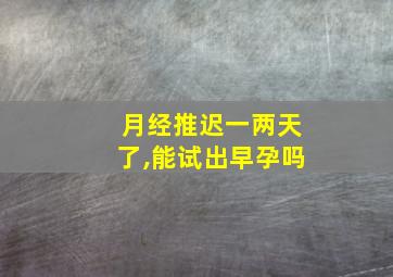 月经推迟一两天了,能试出早孕吗