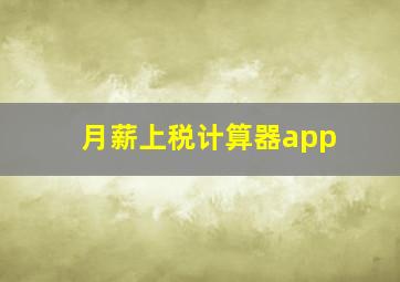 月薪上税计算器app