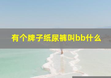 有个牌子纸尿裤叫bb什么