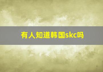 有人知道韩国skc吗