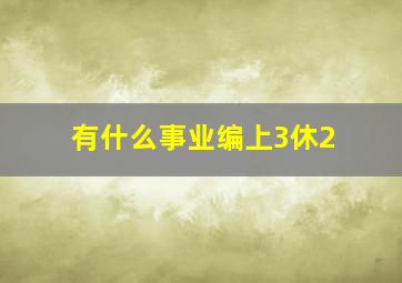 有什么事业编上3休2