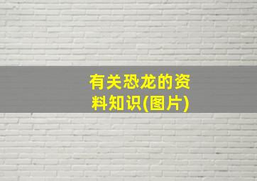 有关恐龙的资料知识(图片)