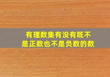 有理数集有没有既不是正数也不是负数的数