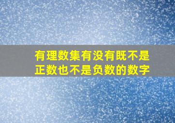 有理数集有没有既不是正数也不是负数的数字