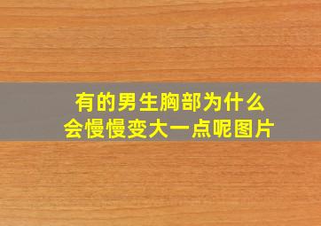 有的男生胸部为什么会慢慢变大一点呢图片