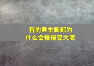 有的男生胸部为什么会慢慢变大呢