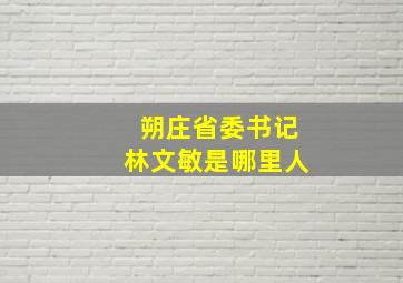 朔庄省委书记林文敏是哪里人