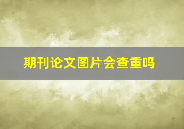 期刊论文图片会查重吗