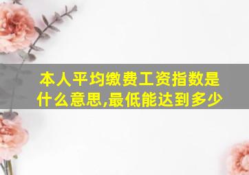 本人平均缴费工资指数是什么意思,最低能达到多少