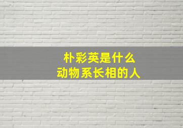 朴彩英是什么动物系长相的人