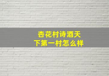 杏花村诗酒天下第一村怎么样