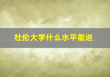 杜伦大学什么水平能进