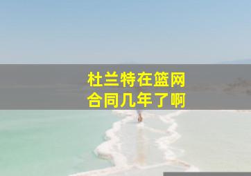 杜兰特在篮网合同几年了啊