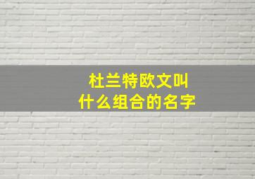 杜兰特欧文叫什么组合的名字