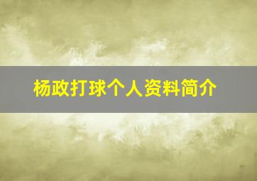 杨政打球个人资料简介