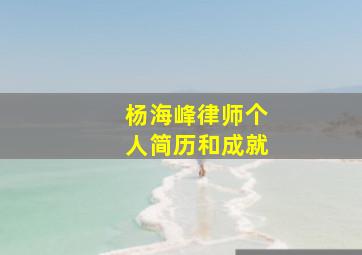 杨海峰律师个人简历和成就