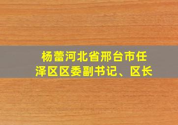 杨蕾河北省邢台市任泽区区委副书记、区长