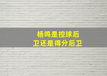 杨鸣是控球后卫还是得分后卫