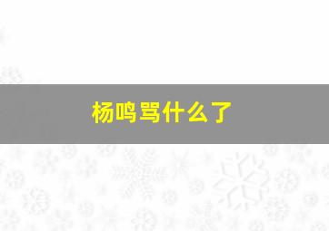 杨鸣骂什么了