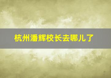 杭州潘辉校长去哪儿了