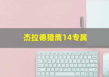 杰拉德猎鹰14专属