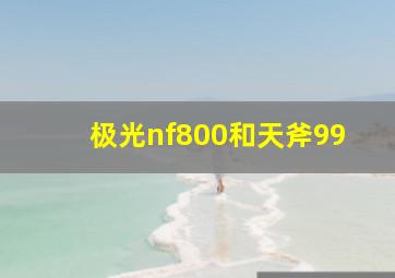 极光nf800和天斧99