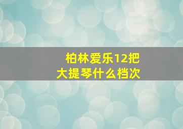 柏林爱乐12把大提琴什么档次