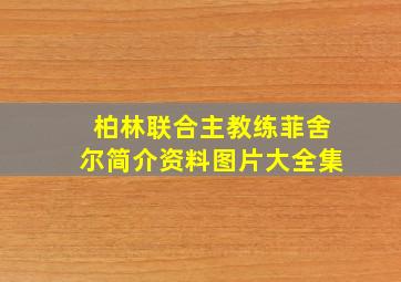 柏林联合主教练菲舍尔简介资料图片大全集