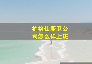 柏格仕厨卫公司怎么样上班