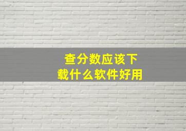 查分数应该下载什么软件好用