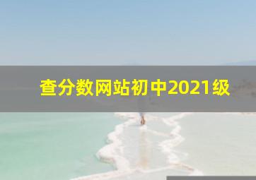 查分数网站初中2021级