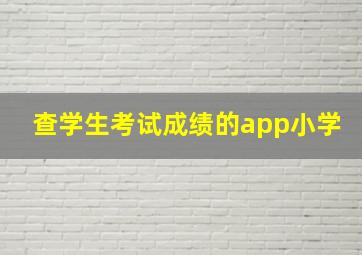 查学生考试成绩的app小学